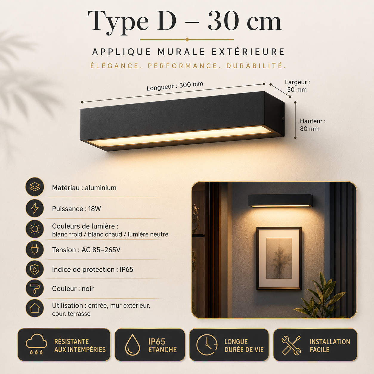 Applique Murale Extérieure LED IP65 Aluminium Noire