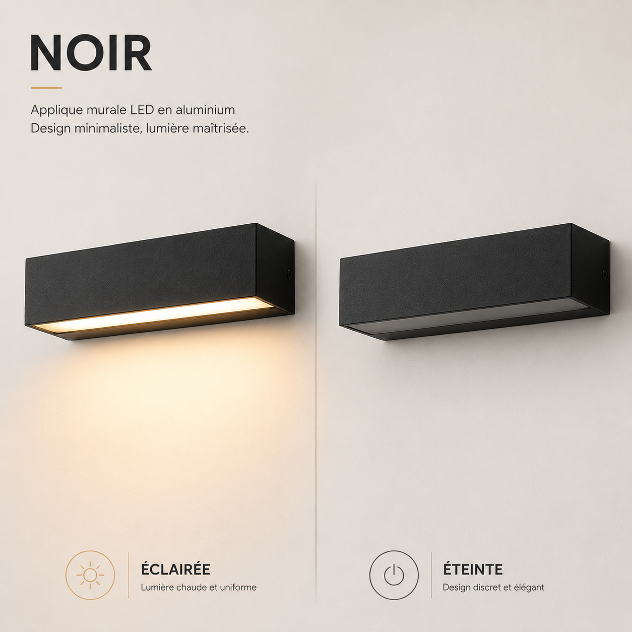 Applique Murale Extérieure LED IP65 Aluminium Noire